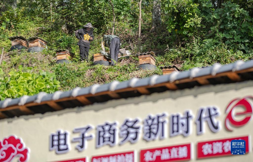 澳门奥博赌址网站注册